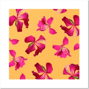 Bauhinia Flower Custard Yellow - Summer Flower Pattern Posters and Art